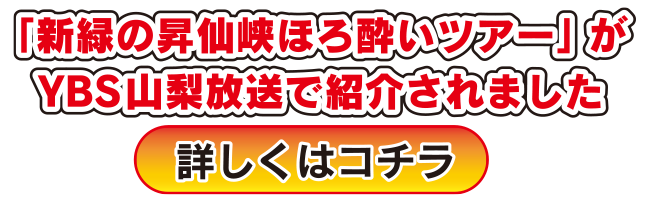 パソコン用の画像